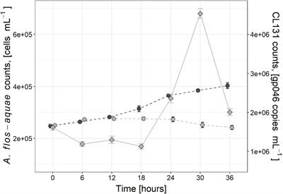 Nitrogen Flow in Diazotrophic Cyanobacterium Aphanizomenon flos-aquae Is Altered by Cyanophage Infection